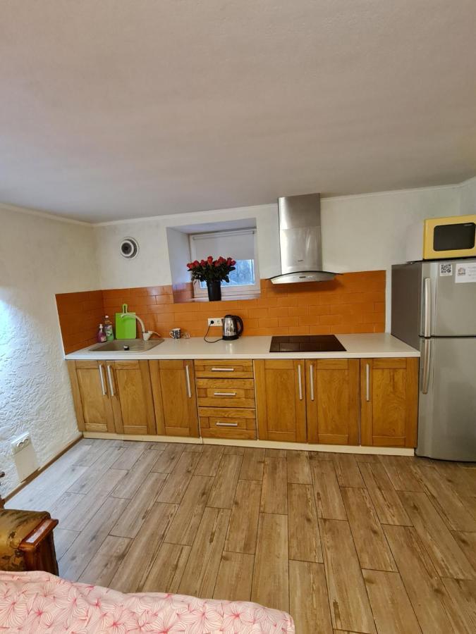 Студіо На Кoновальця Apartment Lviv Ngoại thất bức ảnh