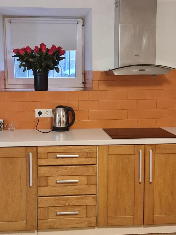 Студіо На Кoновальця Apartment Lviv Ngoại thất bức ảnh